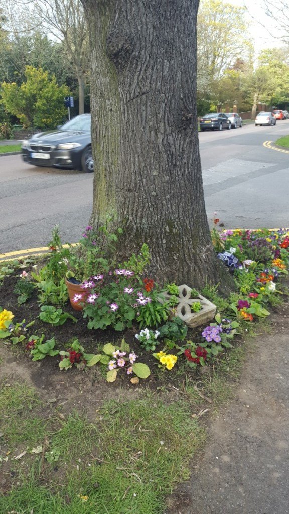 thumbnail_20160501_185433